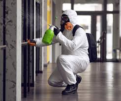 Best Mold Remediation for Rental Properties  in Nogales, AZ